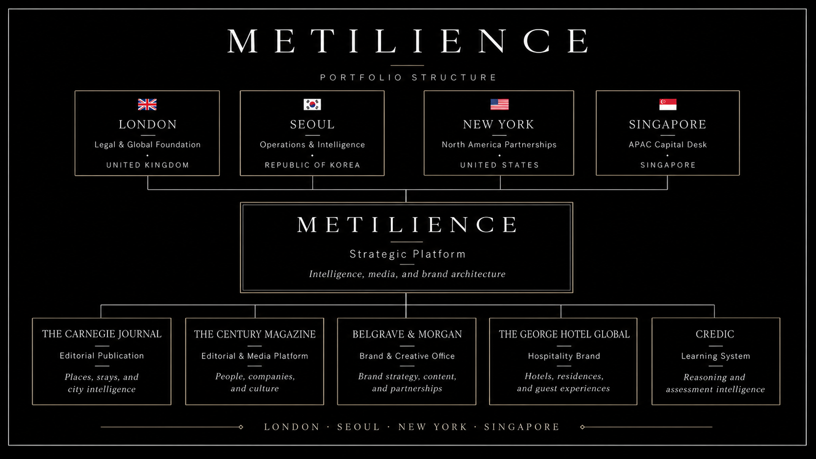Metilience portfolio structure preview